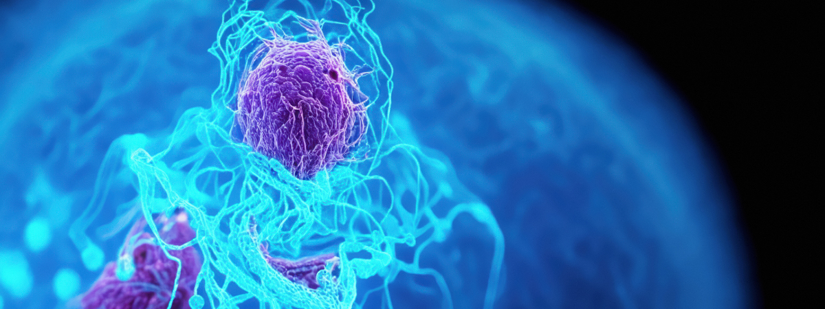 3D Cancer Cells